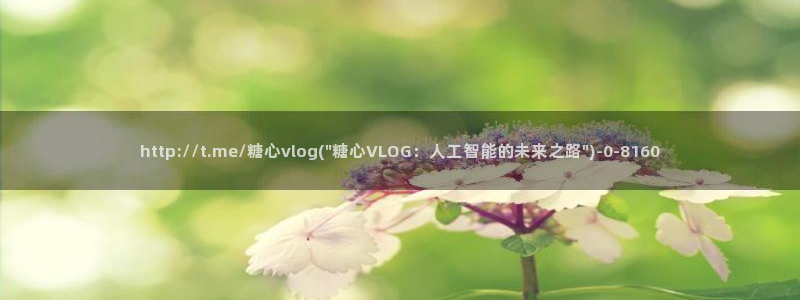 糖心vlog后入