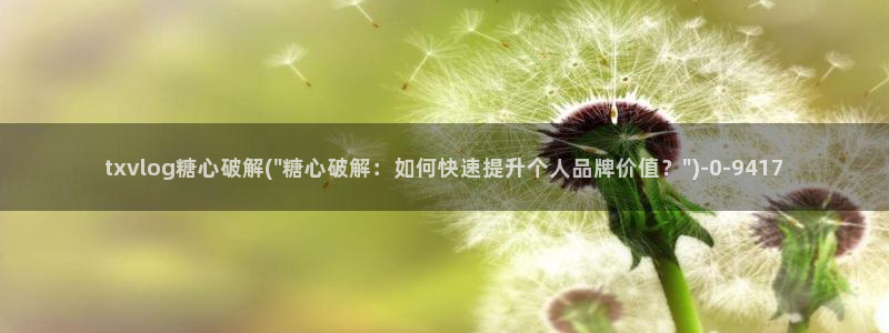 糖心vlog号