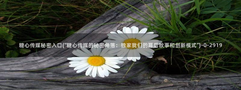 糖心vlog网站观看