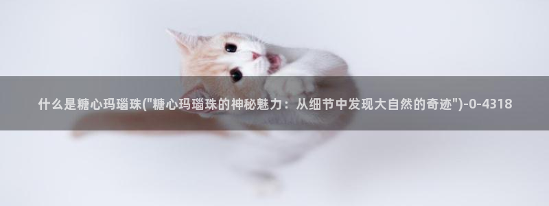 糖心vlog视频唐伯虎