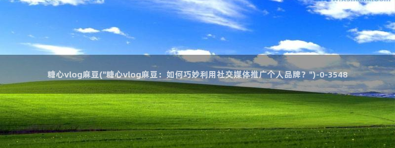 糖心vlog在线观看免费