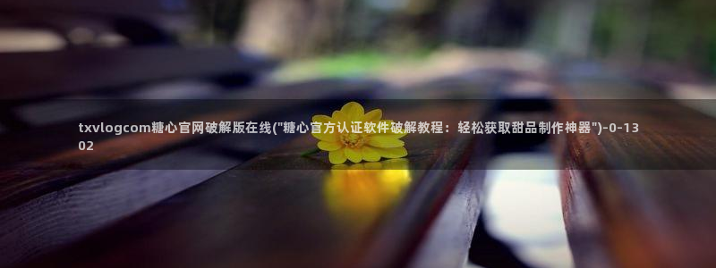 糖心vlogpro